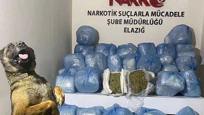 Elazığ'da 123 Kilo Uyuşturucu Madde Ele Geçirildi: 11 Kişi Tutuklandı