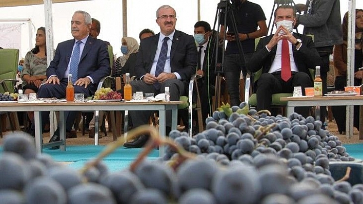 Elazığ'da 15. Bağ Bozumu ve Orcik Festivali başladı