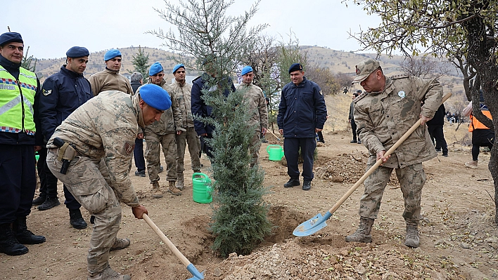 Elazığ'da 2 bin 300 adet fidan dikimi gerçekleştirildi