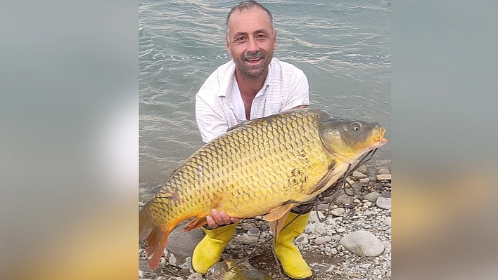 Elazığ'da 22 kiloluk sazan balığı yakalandı