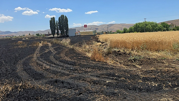 Elazığ'da 23 dönümlük buğday tarlası yangında küle döndü