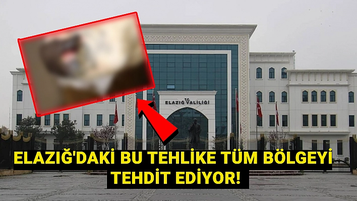 Elazığ'da 3 ilçe karantinada! 10 kilometrelik yasak bölge ilan edildi