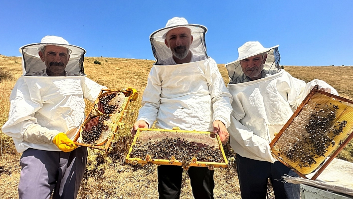 Elazığ'da 3 Yılda  Bal Rekoltesi Yüzde 100 Düştü