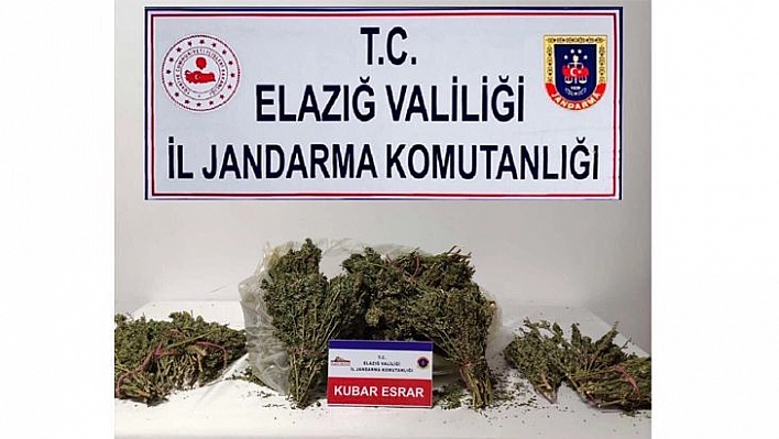 Elazığ'da 4,5 Kilo Esrar Ele Geçirildi