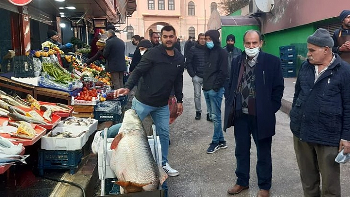 Elazığ'da 60 Kiloluk Dev Turna Balığı Yakalandı