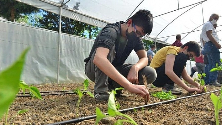 Elazığ'da 'Ağacımla büyüyorum, kendi seramda üretiyorum' projesi