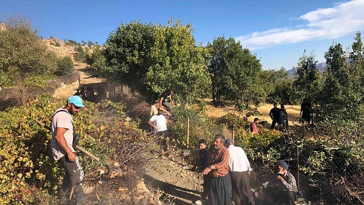 Elazığ'da ağaçlık alanda yangın: Vatandaşlar seferber oldu