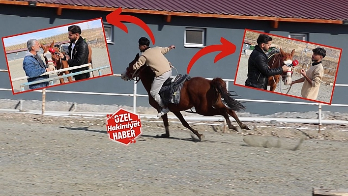 Elazığ'da at sevgisi ve binicilik geleneği yaşatılıyor