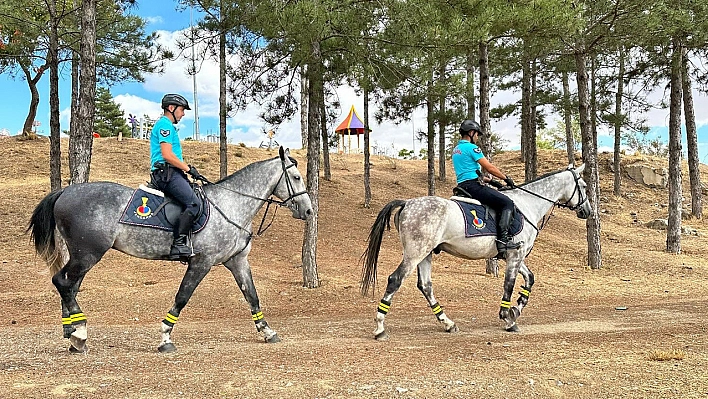 Elazığ'da atlı birlikler görev başında