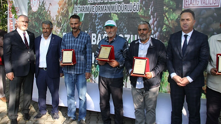 Elazığ'da Bağ Bozumu Etkinliği