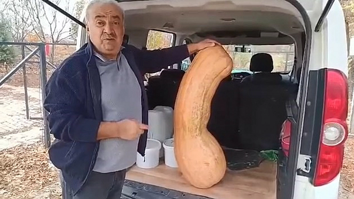 Elazığ'da bahçeden 47 kiloluk rekor kabak çıktı
