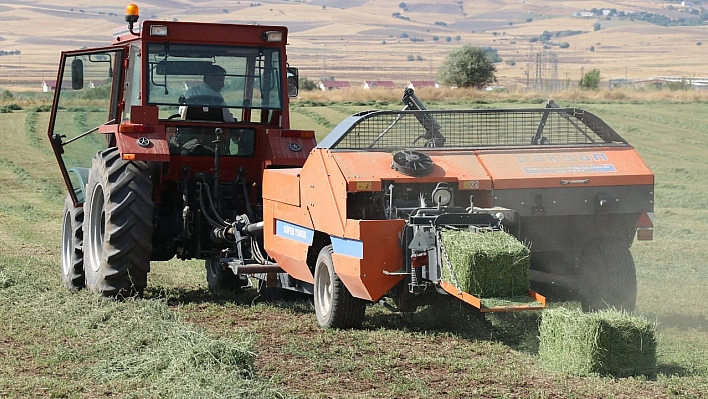 Elazığ'da Balyalama Mesaisi Başladı