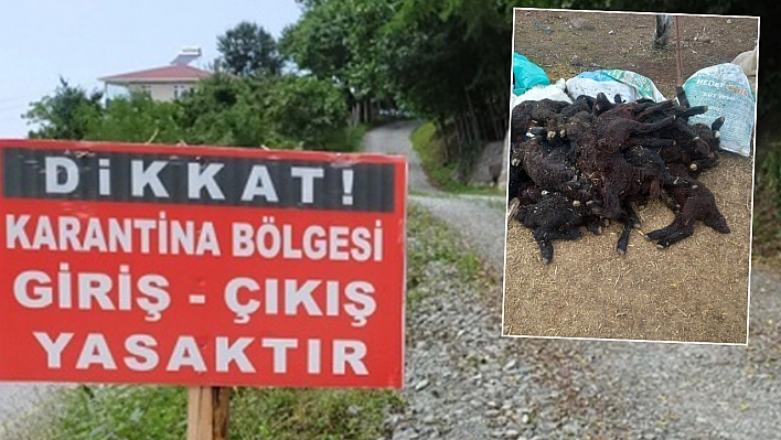 Elazığ'da başlamıştı Tunceli'ye de sıçradı: Karantina bölgesi büyüyor!