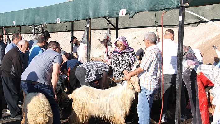 Elazığ'da Bayram Namazından Çıkan Vatandaşlar, Kurbanlarını kesti