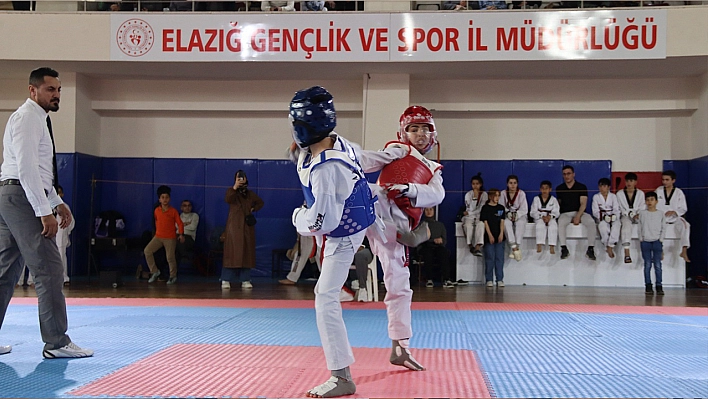 Elazığ'da bilek güreşi ve taekwondo müsabakaları tamamlandı