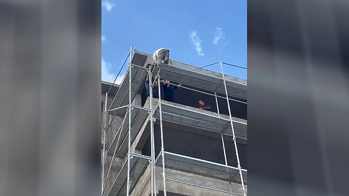 Elazığ'da binadan atlamak isteyen şahsı itfaiye ekipleri ikna etti