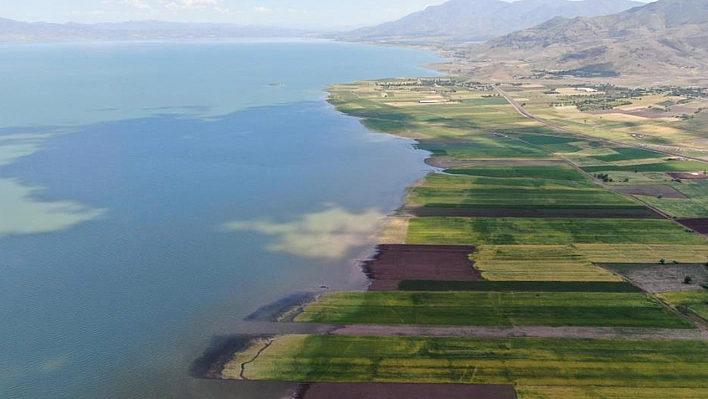 Elazığ'da binlerce dönüm ekili alan su altında kaldı