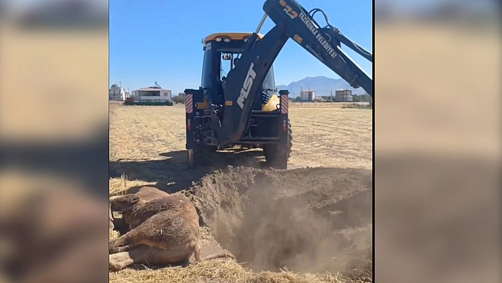 Elazığ'da bir belediyenin uygulamasına büyük tepki
