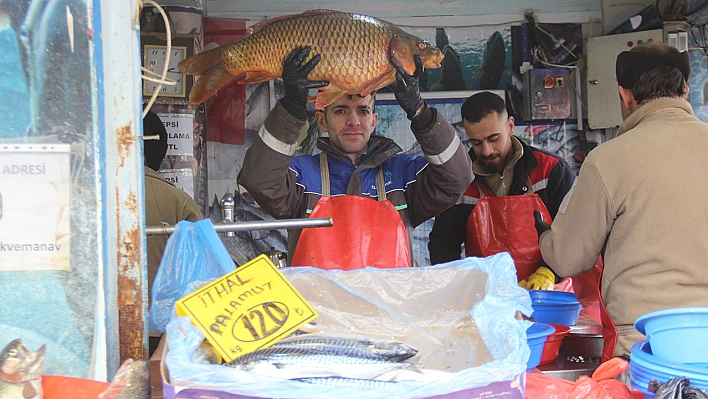 Elazığ'da Bir Çağrı da Balıkçılardan Geldi!