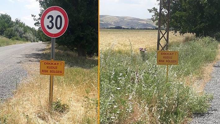 Elazığ'da Bir Köy Kuduz Vakasıyla Karantinaya Alındı