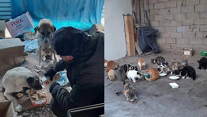 Elazığ'da Bir Vatandaş Sokaktaki Canlarımıza Evladı Gibi Bakıyor