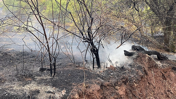 Elazığ'da Bir Yangın Daha