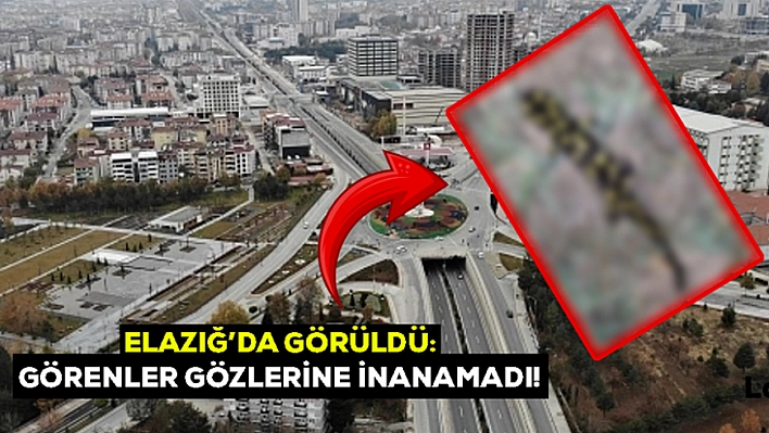 Elazığ'da böyle görüntülendi! Hemen gözden kayboldu