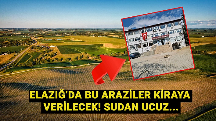 Elazığ'da araziler sudan ucuz fiyata kiraya verilecek! Başvuru tarihini kaçırmayın