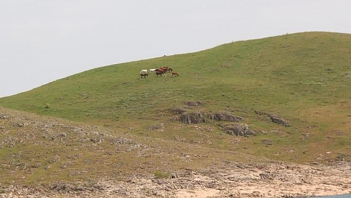 Elazığ'da Bu Güzellikleri Görenler Telefona Sarıldı