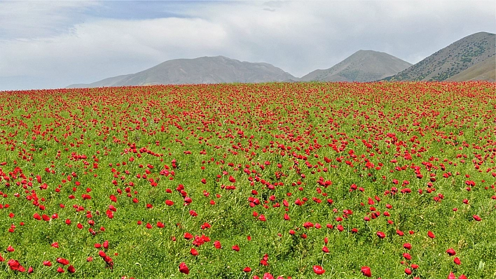 Elazığ'da bugün hava nasıl olacak? (6 Mayıs 2025)