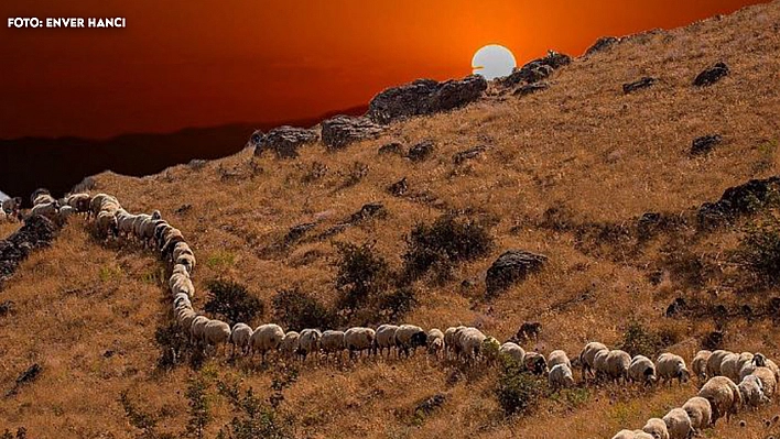 Elazığ'da bugün hava nasıl olacak? (13.06.2025)