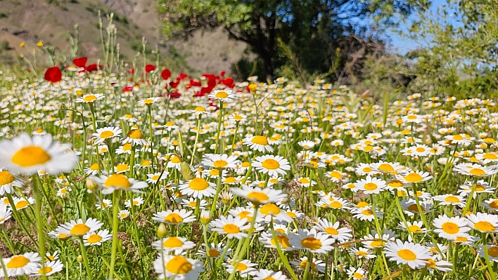 Elazığ'da bugün hava nasıl olacak? (28 Haziran 2025)