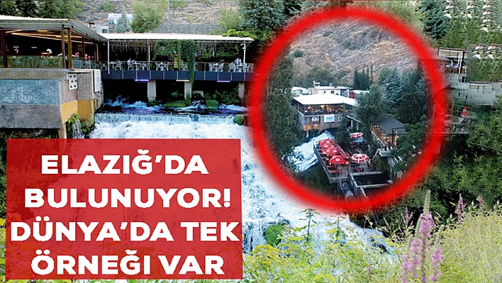 Elazığ'da bulunuyor! Turistler adeta akın ediyor… Dünya'da tek örneği var