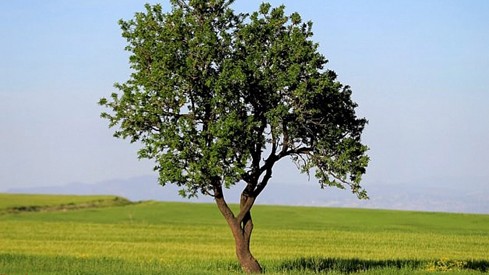 Elazığ'da Bunları Yapmanın Tam Sırası!