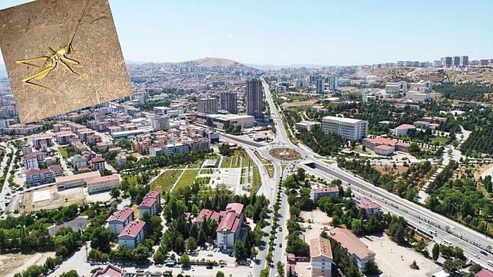 Elazığ'da 'Çağaboğan' Görüntülendi