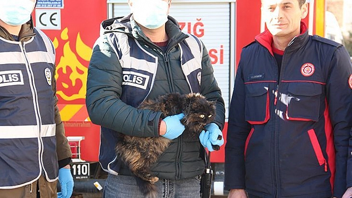 Elazığ'da Çatıda Mahsur Kalan Kedi İçin Haydi Ve İtfaiye Ekipleri Seferber Oldu