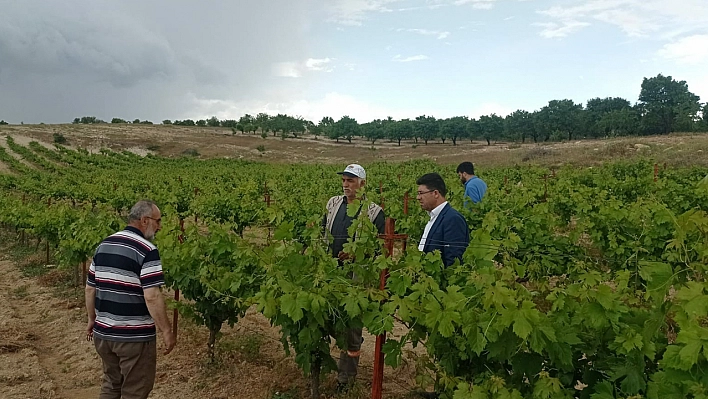 Elazığ'da çiftçiler keneye karşı bilgilendirildi