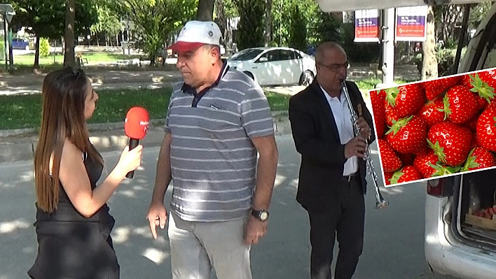 Elazığ'da Çilek, Çilek Olalı Böyle Coşku ve Talep Görmedi!