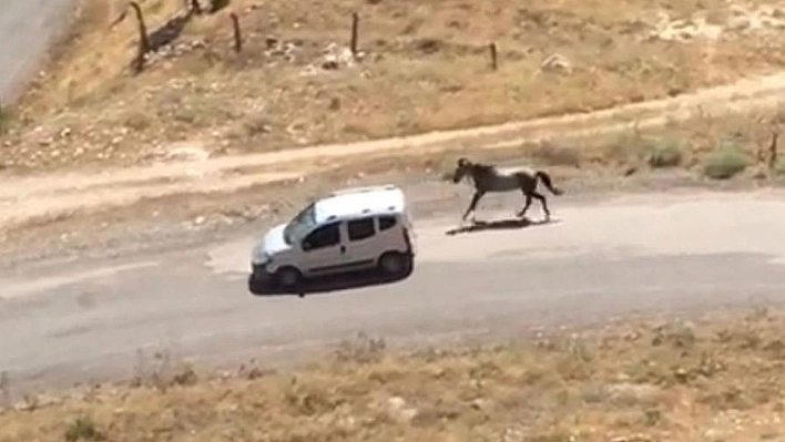 Elazığ'da Dehşete Düşüren Görüntüler!