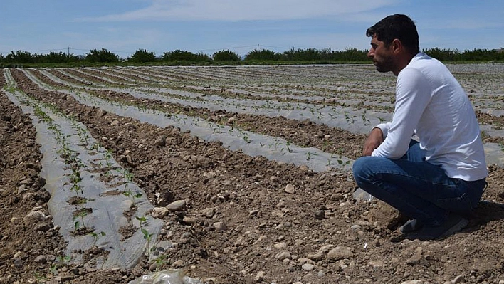 Elazığ'da Deprem Tarımı da Vurdu