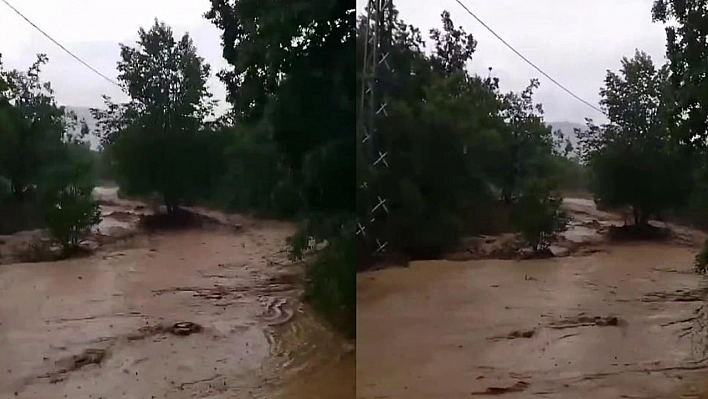 Elazığ'da Dereler Taştı Tarım Arazileri Zarar Gördü!