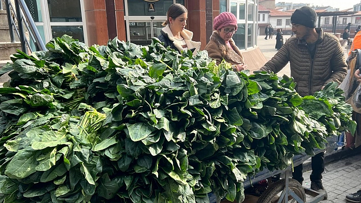 Elazığ'da destesi 15 lira, yetişen alıyor