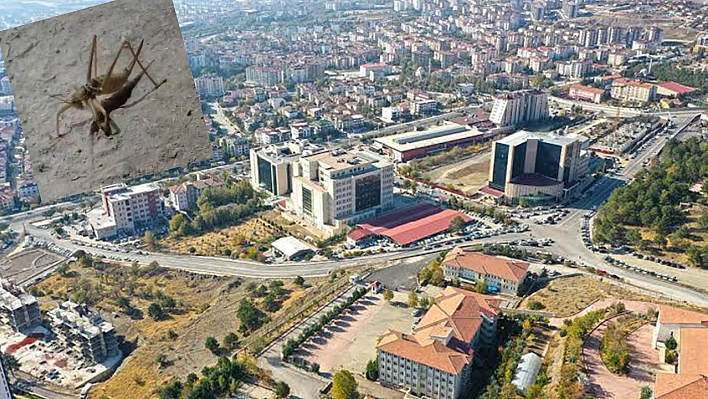 Elazığ'da Dev Boyutuyla, Görenleri Şaşkına Çevirdi