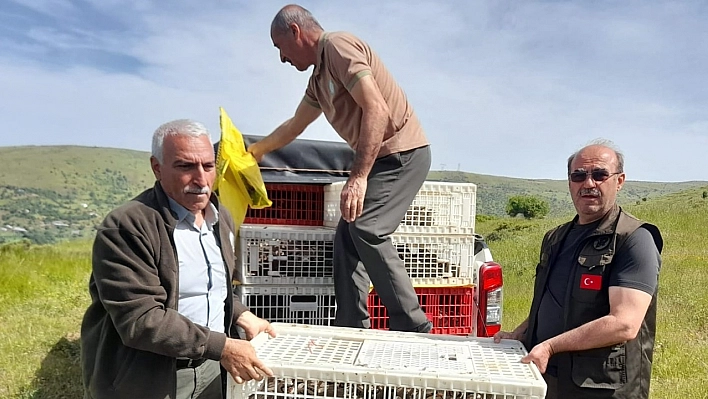 Elazığ'da Doğaya Keklik Salımı Yapıldı