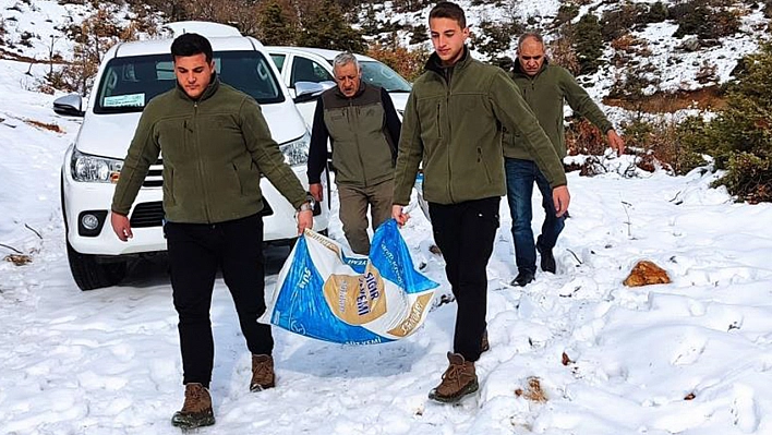 Elazığ'da ekipler, yaban hayvanları için mesaide