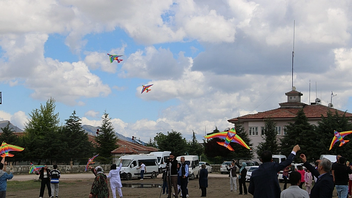 Elazığ'da 'Engelsiz Uçurtma Şenliği' Renkli Görüntülere Sahne Oldu