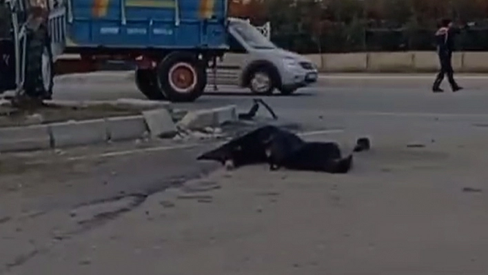 Elazığ'da feci kaza: 1 ölü