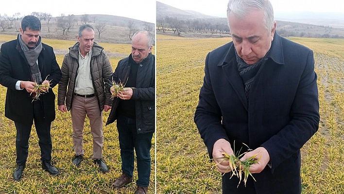 Elazığ'da Fenolojik Gözlem Çalışması Yapıldı