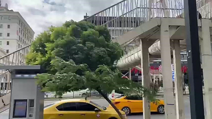 Elazığ'da fırtına etkili oldu