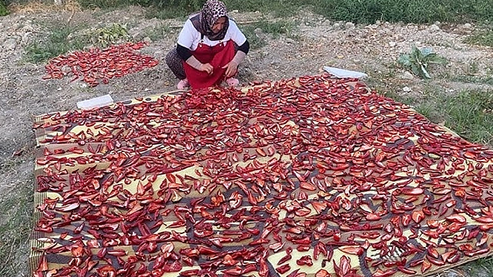 Elazığ'da gelenek devam ediyor: biber salçası yapımı başladı